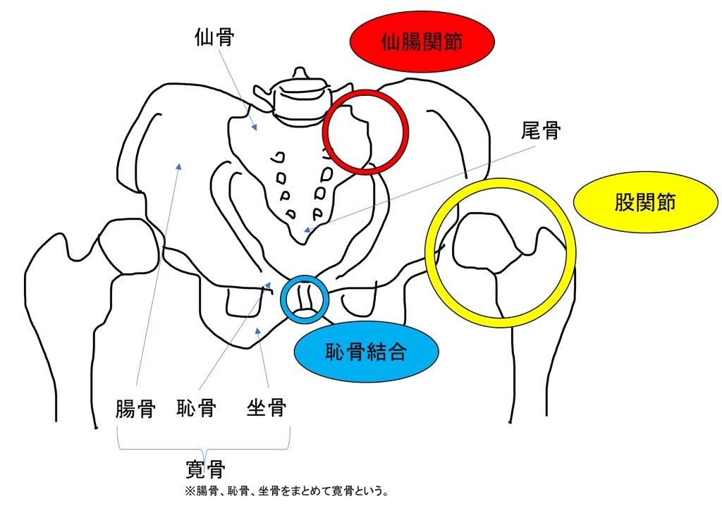変形性関節症について
